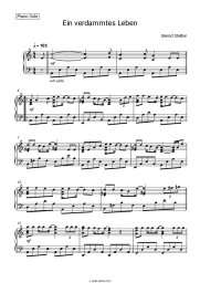 Sheet music, chords Bernd Stelter - Ein verdammtes Leben