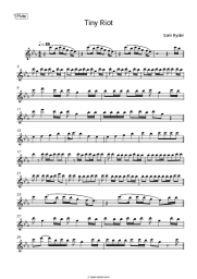 Sheet music, chords Sam Ryder - Tiny Riot