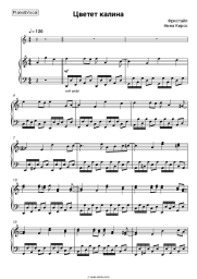 undefined Freestyle, Nina Kirso - Цветет калина (Цветет калина в поле у ручья)