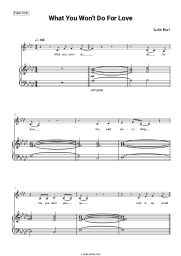 Sheet music, chords Luke Burr - What You Won't Do For Love