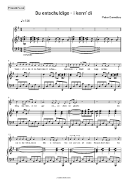 Sheet music, chords Peter Cornelius - Du entschuldige - i kenn’ di