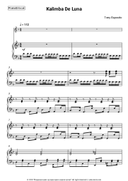 Sheet music, chords Tony Esposito - Kalimba De Luna