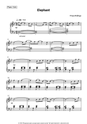 undefined Freya Ridings - Elephant