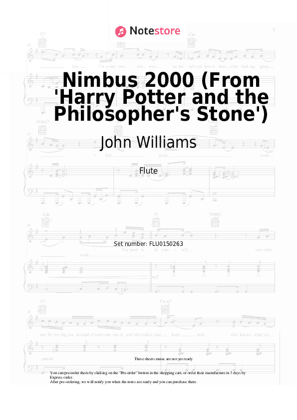 Nimbus 2000 (From 'Harry Potter and the Philosopher's Stone') - John Williams Flute Sheet Music - Flute