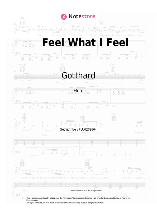 Feel What I Feel - Gotthard Flute Sheet Music - Flute