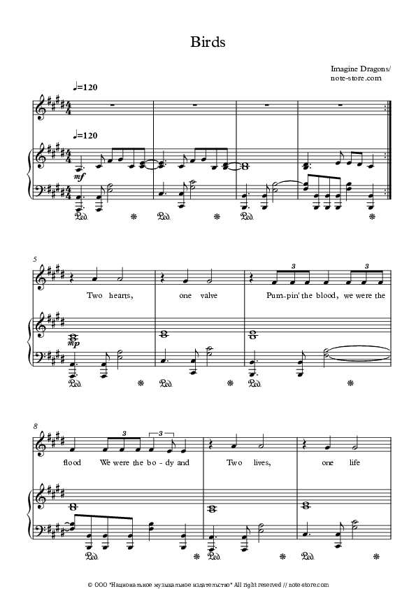 Birds - Imagine Dragons Piano Sheet Music with the Voice part - Piano&Vocal