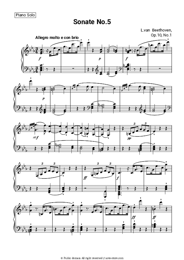 Piano Sonata No. 5 in C minor, Op. 10, No. 1 - Ludwig van Beethoven Piano Sheet Music - Piano.Solo