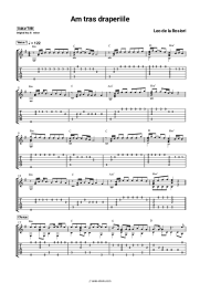 undefined Leo de la Rosiori - Am tras draperiile