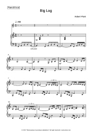 undefined Robert Plant  - Big Log