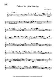 undefined Nathan Evans - Wellerman (Sea Shanty)