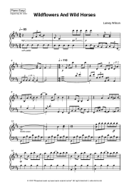 undefined Lainey Wilson - Wildflowers and Wild Horses