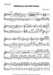 undefined Lainey Wilson - Wildflowers and Wild Horses