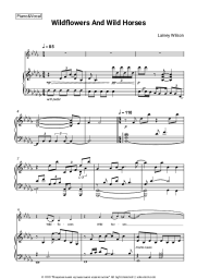 undefined Lainey Wilson - Wildflowers and Wild Horses