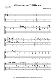 undefined Lainey Wilson - Wildflowers and Wild Horses