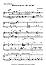 undefined Lainey Wilson - Wildflowers and Wild Horses