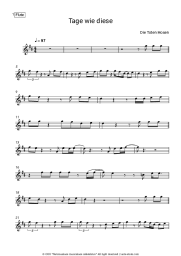 undefined Die Toten Hosen - Tage wie diese