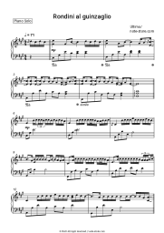 Sheet music, chords Ultimo - Rondini al guinzaglio