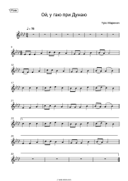 undefined Trio Marenich - Ой, у гаю при Дунаю