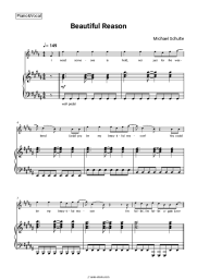 undefined Michael Schulte - Beautiful Reason