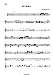 undefined Die Toten Hosen - Kamikaze