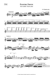 undefined P. Tchaikovsky - Russian dance from Swan lake