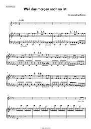 Sheet music, chords Grossstadtgeflüster - Weil das morgen noch so ist