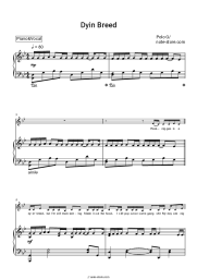 Sheet music, chords Polo G - Dyin Breed