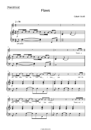 undefined Calum Scott - Flaws