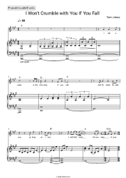 undefined Tom Jones - I Won’t Crumble with You If You Fall