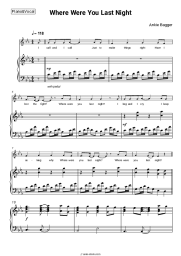 Sheet music, chords Ankie Bagger - Where Were You Last Night (12' Remix)