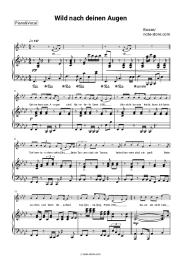 Sheet music, chords Bosse - Wild nach deinen Augen