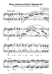 undefined P. Tchaikovsky - Waltz of the Flowers