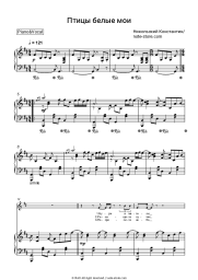 Sheet music, chords Konstantin Nikolsky - Птицы белые мои